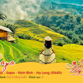 Hà Nội | Sapa | Lào Cai | Bái Đính | Hạ Long