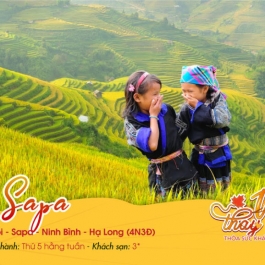 Hà Nội | Sapa | Ninh Bình | Hạ Long