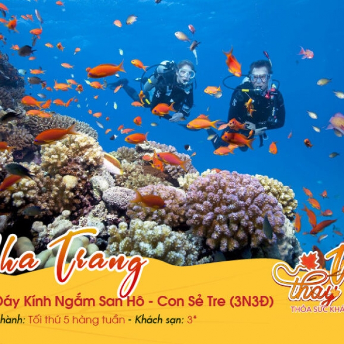 Nha Trang | Tàu Đáy Kính Ngắm San Hô | Con Sẻ Tre3